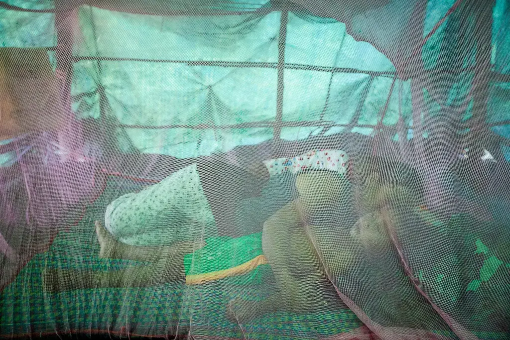 Image by Jeffrey Lau. Cambodia, 2015. Media file: 46_jlau_kh_pailin_0566.jpg