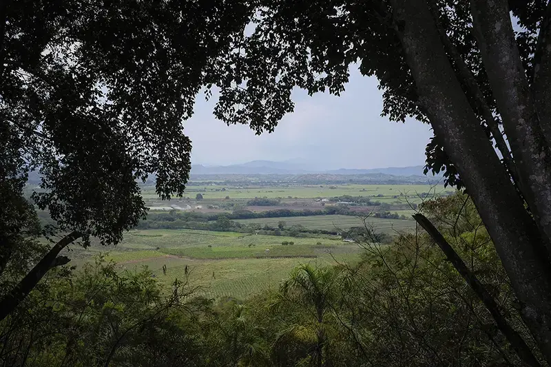Colombia has greater biodiversity than any country except Brazil. Image by Greg Kendall-Ball/Nature. Colombia, 2018. Colombia has greater biodiversity than any country except Brazil. Image by Greg Kendall-Ball/Nature. Colombia, 2018.