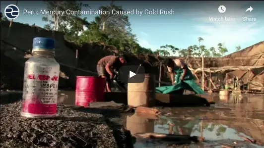 Screenshot from Steve Sapienza reporting project, "Peru's Gold Rush: Wealth and Woes," a video segment of which aired on PBS NewsHour in December 2011 when he was a special correspondent for the outlet with Pulitzer Center support. Image by Steve Sapienza. Peru, 2011.