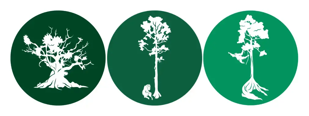 Rainforest Journalism Fund Rainforest Journalism Fund