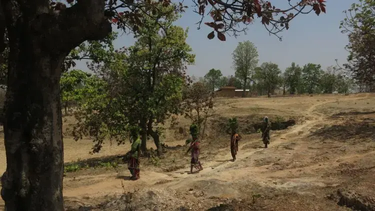Odisha, India. June 2019. Image by Chitrangada Choudhury.