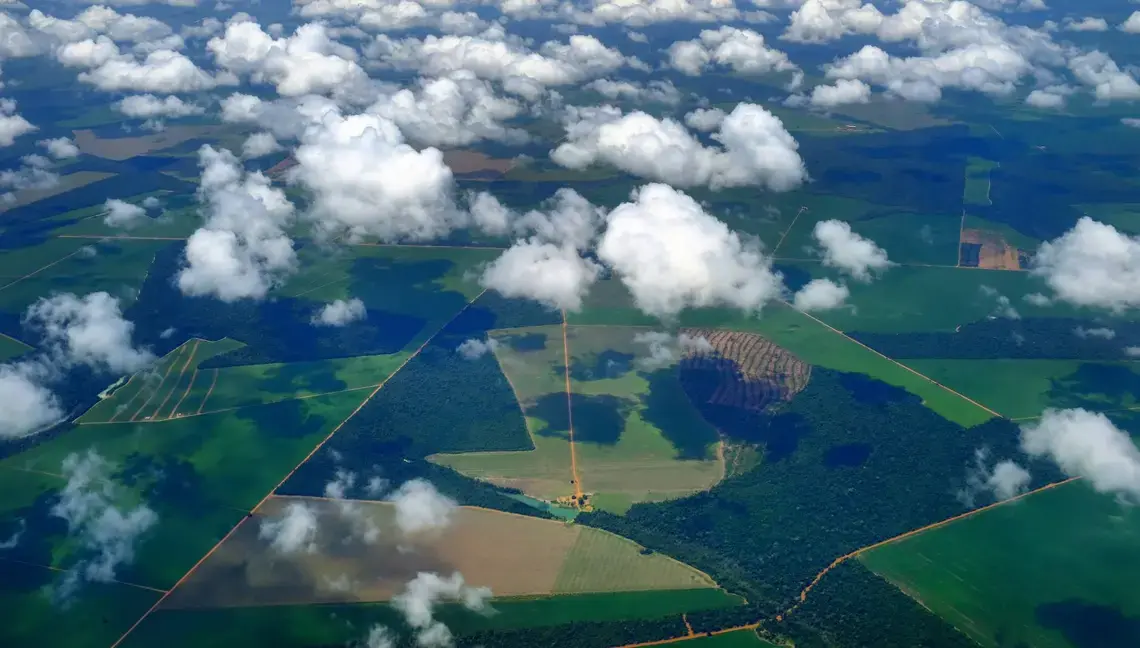 Vista del municipio de Sinop desde las alturas, donde se aprecian las áreas de selva junto a los campos de cultivo industriales.