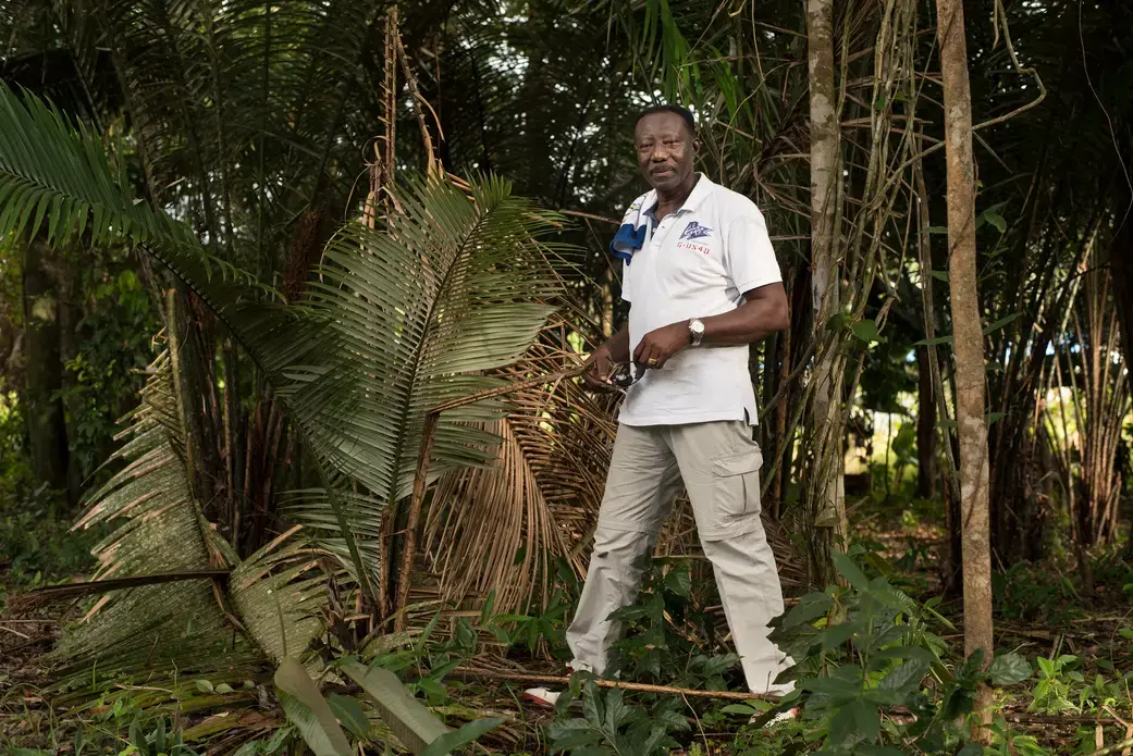 Frans Weewee stands in the jungle behind his village in Brownsweg. His backyard is filled with the fruits that the Saamaka people grew up gathering and farming, banana, mango, cassava, sugarcane, and fruits he described as mope, maripa, tajerblad and awara. Image by Stephanie Strasburg. Suriname, 2017.