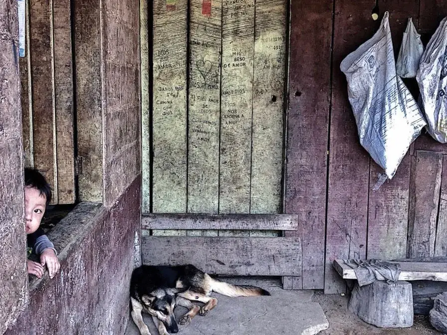 A young boy peeks from the window of a bache located in a coffee plantation near the Rio Sereno border crossing. Image by Samira Tella. Costa Rica, 2018. A young boy peeks from the window of a bache located in a coffee plantation near the Rio Sereno border crossing. Image by Samira Tella. Costa Rica, 2018.
