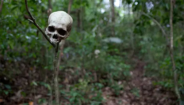A human skull serves as a warning to travelers in the Gap. Image courtesy of Carlos Villalon. Panama, 2016. A human skull serves as a warning to travelers in the Gap. Image courtesy of Carlos Villalon. Panama, 2016.