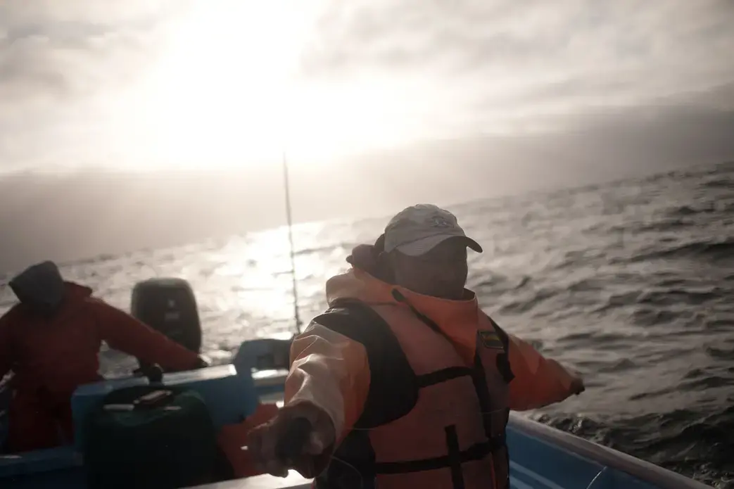 Manuel Lucero, 65, pulls line out to catch bait for the "simplera" hook system they use to catch sharks 20 miles offshore. Image by Dominic Bracco II. Mexico, 2012. Media file: sharks005.jpg