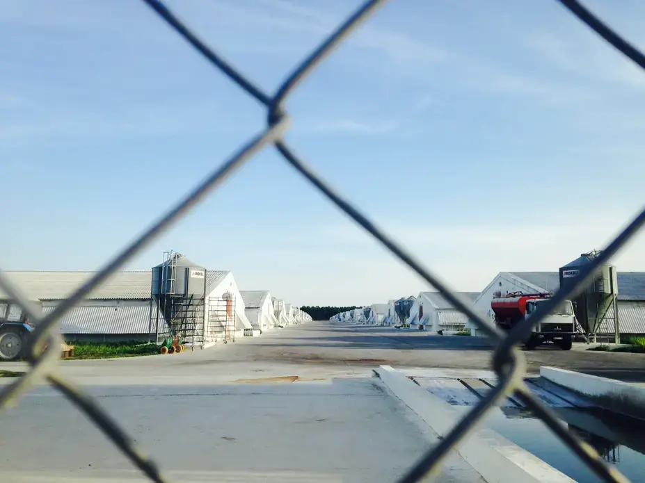 Part of the Vinnytsia chicken farm, a controversial project to build Europe's largest industrial poultry farm in central Ukraine. Image by Claire Provost. Ukraine, 2015. Media file: photo_2-8.jpg