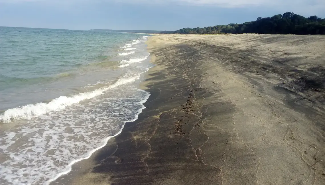 The Black Sea beach, Igneada Floodplain Forests National Park, Turkey. Image by Dimiter Kenarov. Turkey, 2017.