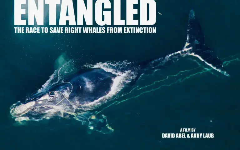 Image courtesy of David Abel and Andy Laub.