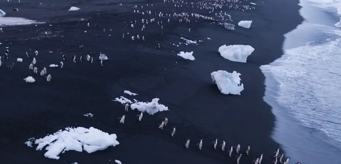 Image by George Steinmetz for The New York Times. Antartica, 2018.