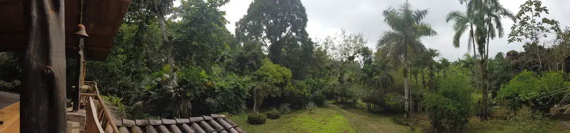 View from a "jungle house" in Puerto Quito. Image by Ayanna Dickinson. Ecuador, 2019. View from a "jungle house" in Puerto Quito. Image by Ayanna Dickinson. Ecuador, 2019.
