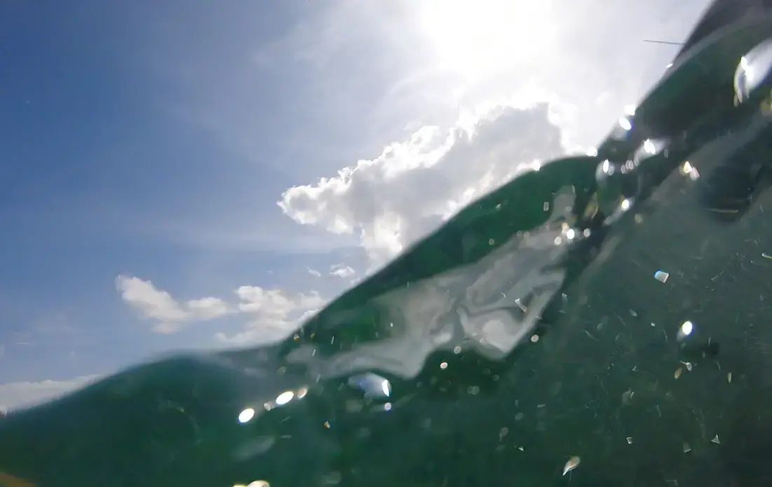 A dive into the deep sea illuminates a world full of possibilities for both discoveries of extraordinary life and opportunities for exploitation. Image by Sarah Fahmy. United States, 2016.