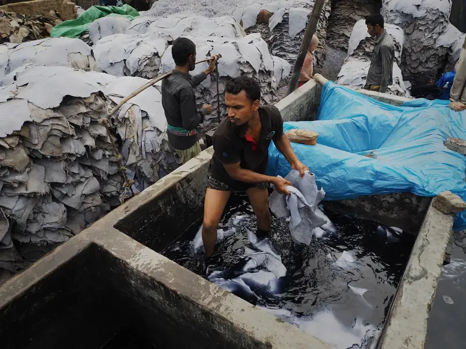 A worker uses his bare hands to remove hide from an alkali bath.