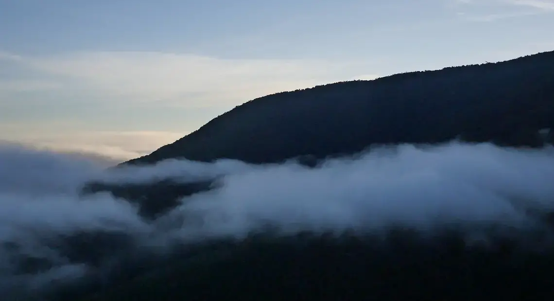 Sunset at Wayqecha Biological Station, 10,000 feet above sea level. Below, the Amazon Basin stretches out for thousands of miles toward the Atlantic Ocean. Image by Dan Grossman. Peru, 2017.
