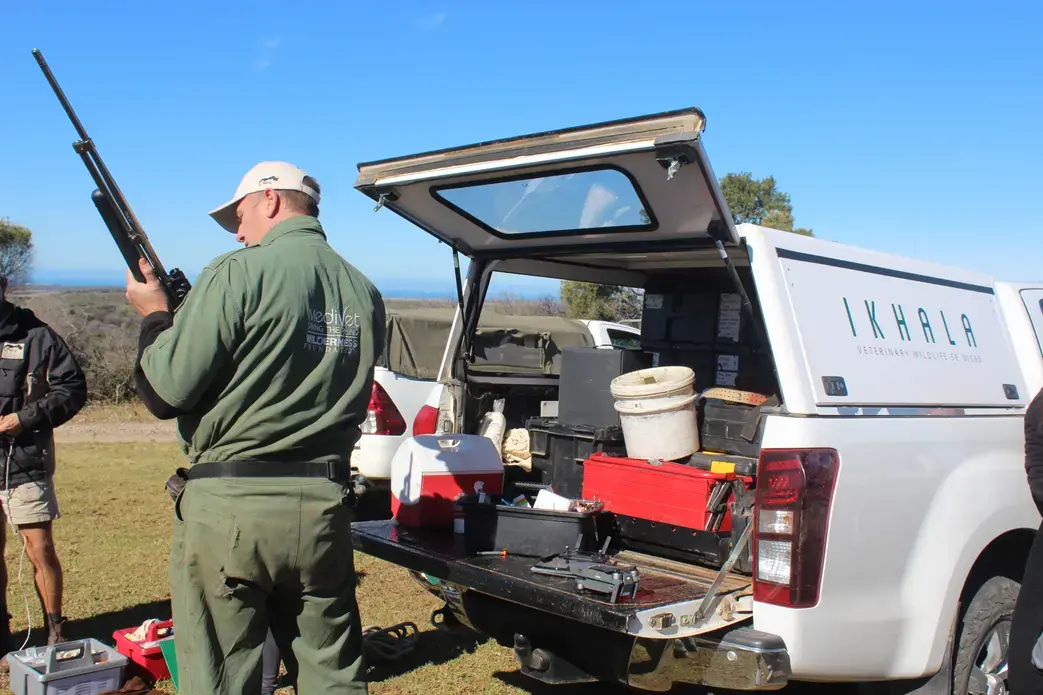 Dr. Fowlds prepares to locate, and tranquilize the white rhino needed for the day's procedure. Image by Kelsey Emery. South Africa, 2017.
