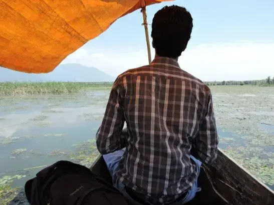 Dr. Ather Masoodi is on the lookout for alligator weed in Wular Lake, the dangerous invasive plant species that can overrun other beneficial aquatic plants and fauna. He is frustrated with the lack of action and planning against alligator weed and other non-native species. Image by Reana Thomas. India, 2014. Media file: wular_lake_june_25th_85.jpg