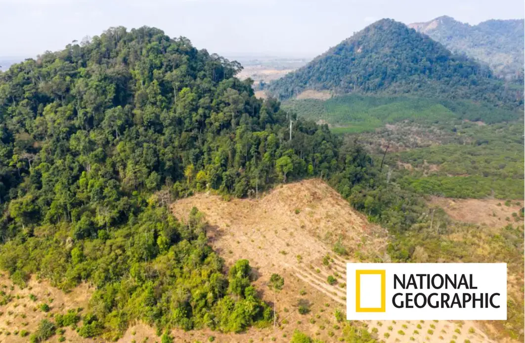 Cleared forests in Preah Vihear Province, in northern Cambodia near the border with Laos. The South East Asian country has one of the fastest rates of deforestation in the world; it's estimated that only 3 percent of primary forest remains. Image by Sean Gallagher. Cambodia, 2020. Cleared forests in Preah Vihear Province, in northern Cambodia near the border with Laos. The South East Asian country has one of the fastest rates of deforestation in the world; it's estimated that only 3 percent of primary forest remains. Image by Sean Gallagher. Cambodia, 2020.