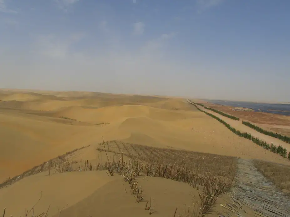 Trees versus sand. Image by Vince Beiser. China, 2016.
