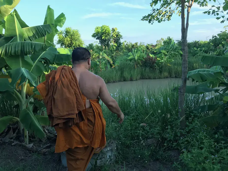 Phrakhu Sangkom Thanapanyo Khunsuri, a Buddhist ecology monk, on his farm in Surin. Image by Kiley Price. Thailand, 2018.