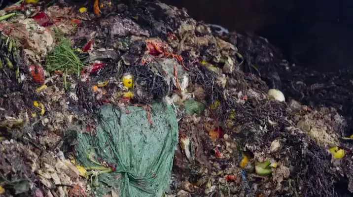Food waste rots in a landfill. Image by PBS NewsHour. United States, 2019.