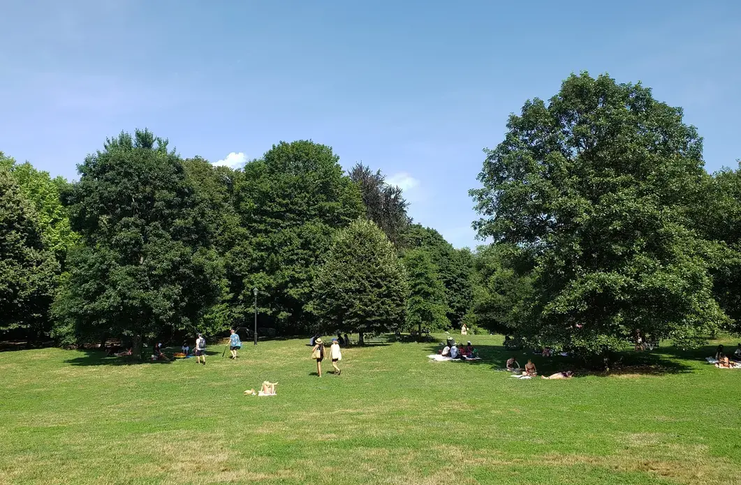 Prospect Park visitors find shade under trees. Image by Clarisa Diaz. United States, 2020. Prospect Park visitors find shade under trees. Image by Clarisa Diaz. United States, 2020.