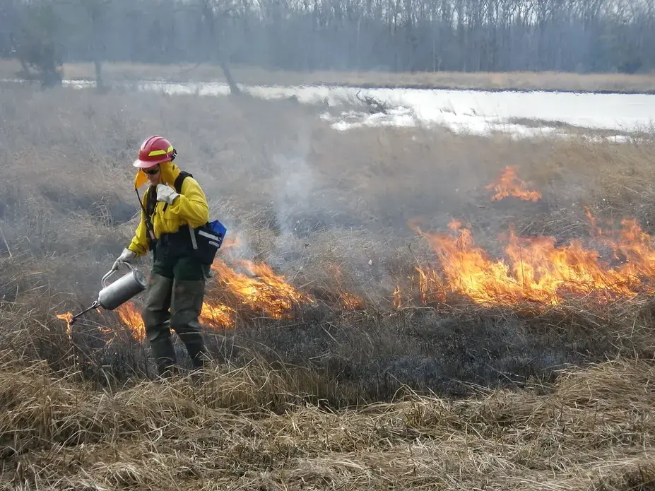 Fire biologist lights controlled burn. Image by Colby Hawkinson. United States, 2011. Fire biologist lights controlled burn. Image by Colby Hawkinson. United States, 2011.