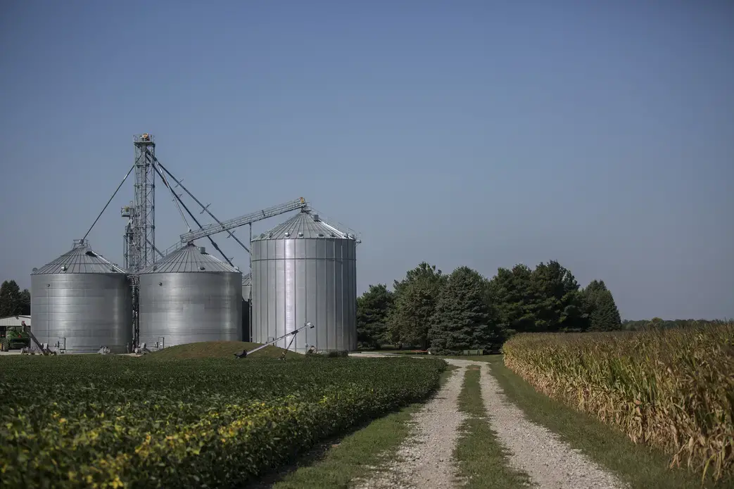 Soybeans and corn grow in late summer at the Kimberley Farm in rural Maxwell, Iowa. Image by Kelsey Kremer. United States, 2017.