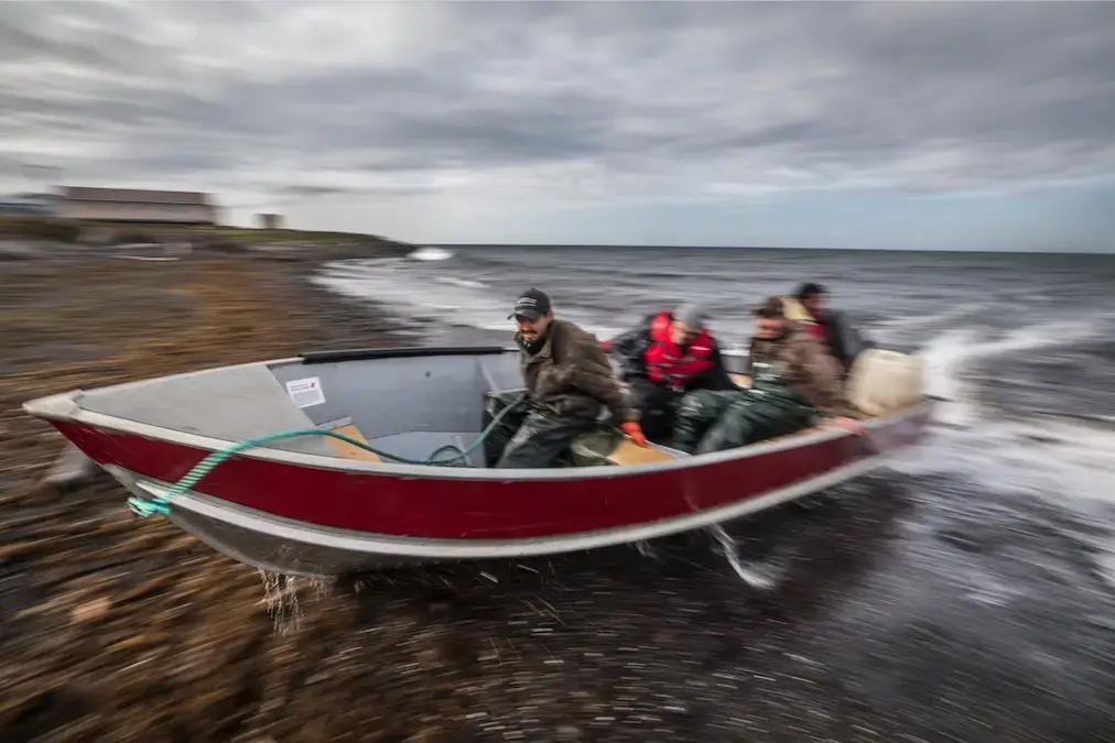 After a tough day of fishing in the swells of the northern Bering Sea, a crew returns to Savoonga on Alaska’s St. Lawrence Island. They went after halibut, but Robin Kogassagoon (shown in the bow) Derek Akeya and Walker Akeya pulled in mostly Pacific cod, now far more abundant as these waters warm. Image by Steve Ringman / The Seattle Times. United States, 2019.
