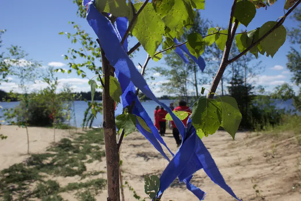 Referred to as prints, these strips of color cloth are placed on poplar branches positioned along the beach, welcoming new visitors to the reserve. The colors correspond with the four winds or four directions that comprise the Oji-Cree way of life. Image by Dillon DeWitt. Canada, 2016. symbol of health