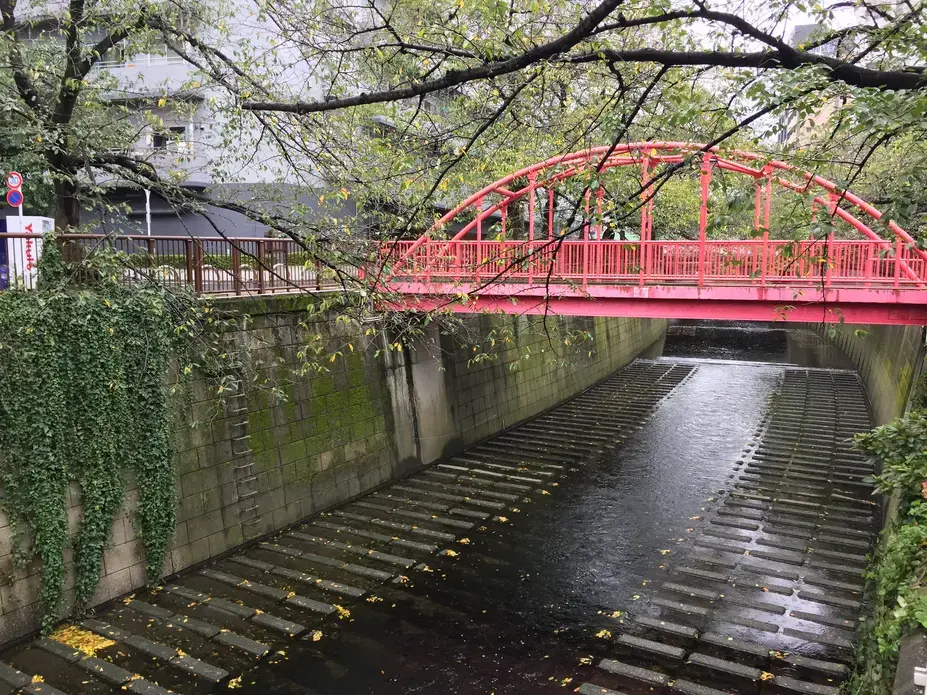 A complicated relationship with climate change and nature in Japan. A bridge over a channelized river in Naka-Meguro, Tokyo. Image by Daniel Merino. Japan, 2019. A complicated relationship with climate change and nature in Japan. A bridge over a channelized river in Naka-Meguro, Tokyo. Image by Daniel Merino. Japan, 2019.
