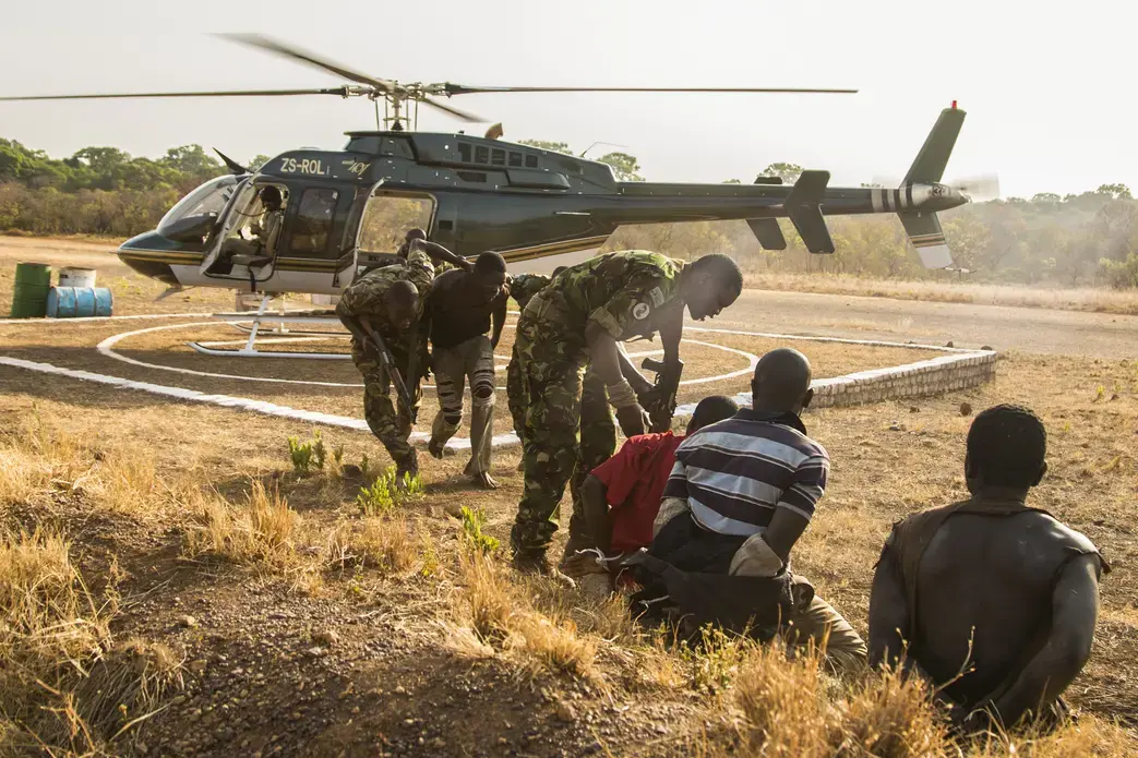 Suspected poachers caught in Chinko arrive at the park’s main base. Rangers put them in handcuffs, sit them down together, then take them to a holding cell. The moment is the culmination of a week-long operation by Chinko’s law-enforcement and aerial patrol teams. Image by Jack Losh. Central African Republic, 2018.