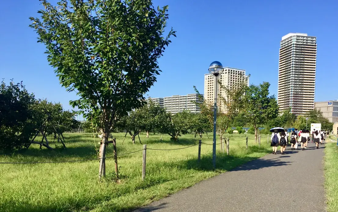 High schoolers hiding from the late summer heat in Kashiwa, Chiba, Japan. Image by Daniel Merino. Japan, 2019. High schoolers hiding from the late summer heat in Kashiwa, Chiba, Japan. Image by Daniel Merino. Japan, 2019.