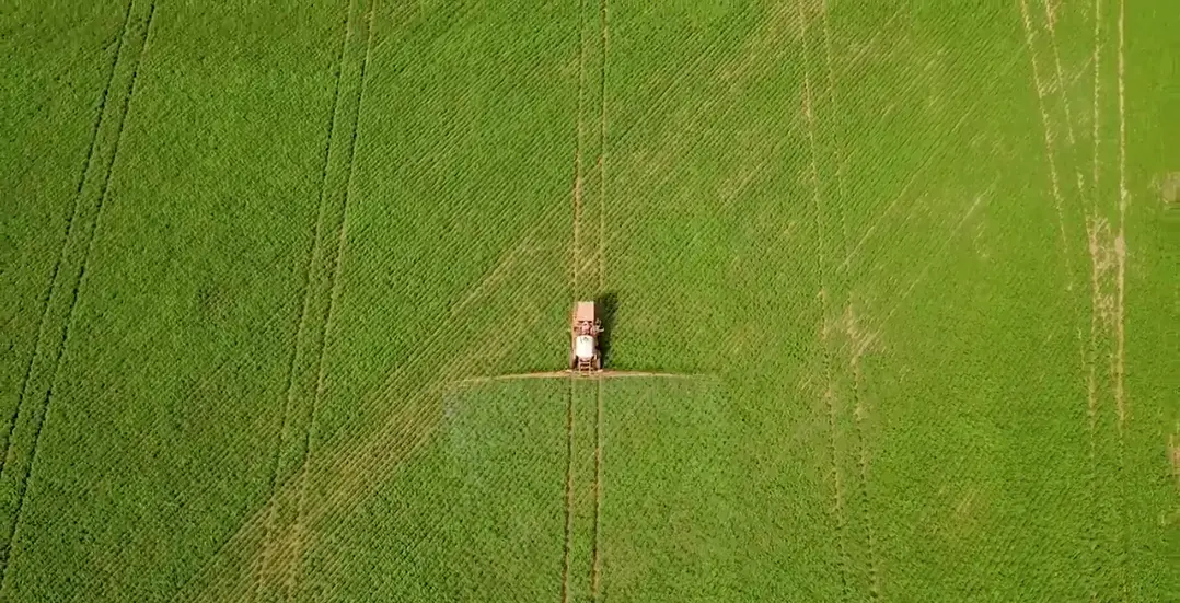 Still from a drone video of a combine driving through soybean fields. Image by Sam Eaton. Brazil, 2018. Still from a drone video of a combine driving through soybean fields. Image by Sam Eaton. Brazil, 2018.