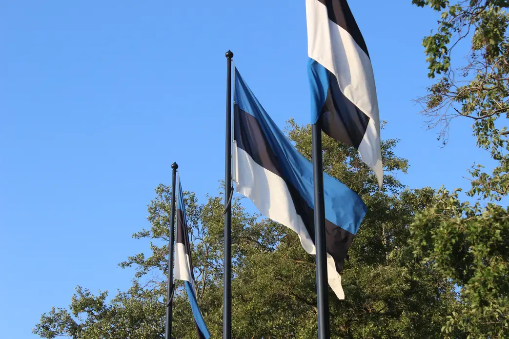 Estonian flags in Tallinn. Image by Hani Zaitoun. Estonia, 2019. Estonian flags in Tallinn. Image by Hani Zaitoun. Estonia, 2019.
