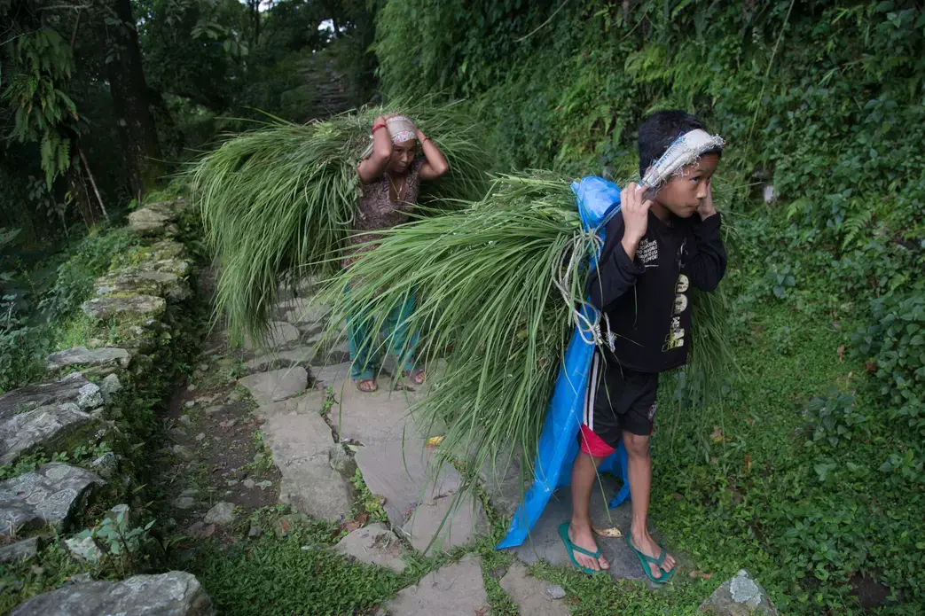 Image by Pankaj Khadka. Nepal, 2015. Image by Pankaj Khadka. Nepal, 2015.