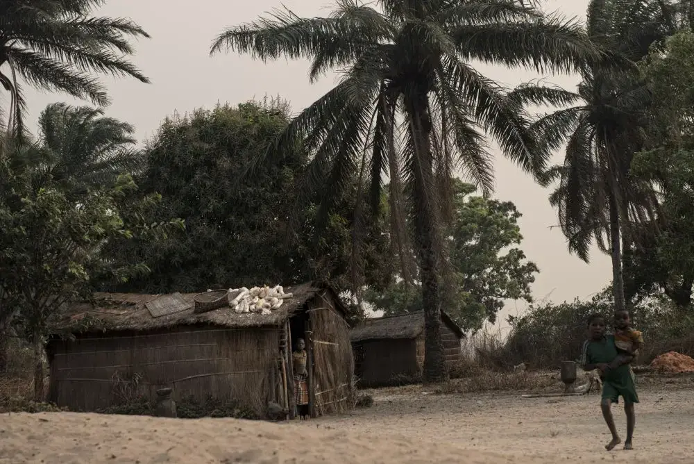 Cassava roots dry on the roof of a house on the outskirts of Kahemba. Image by Neil Brandvold. DRC, 2016.