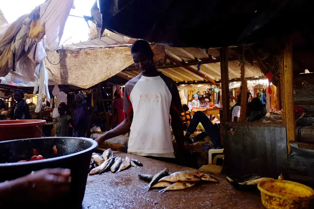 Mohammad Moustafa Ndoye sells fish from his stall in the covered market in Dahra, Senegal. Image by Jill Filipovic. Senegal, 2017. Mohammad Moustafa Ndoye sells fish from his stall in the covered market in Dahra, Senegal. Image by Jill Filipovic. Senegal, 2017.