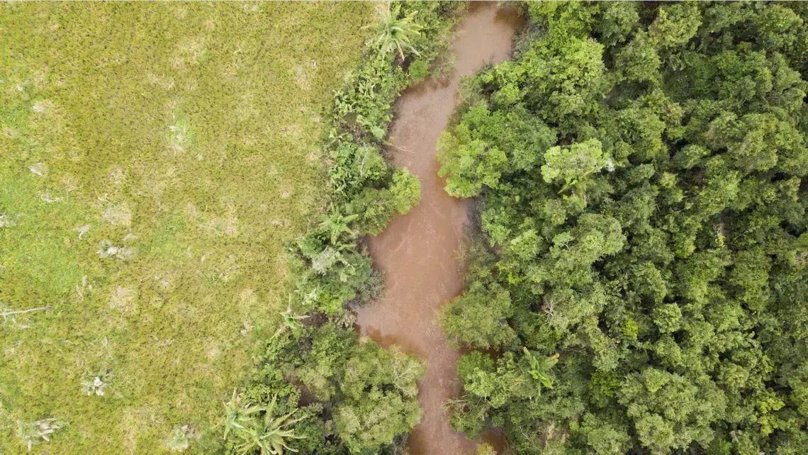 The Caru River cuts through the land and shows the pristine forest of the Indigenous lands in stark contrast with the deforested area on the opposite bank. Image by Sam Eaton. Brazil, 2018. The Caru River cuts through the land and shows the pristine forest of the Indigenous lands in stark contrast with the deforested area on the opposite bank. Image by Sam Eaton. Brazil, 2018.