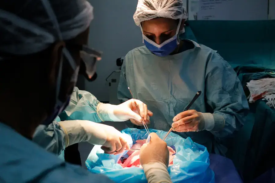Members of a surgical team prepare a donated kidney to be transplanted into a patient on June 27, 2018, at an operating room in the private hospital Clínica Metropolitana, in Caracas, one of the few health centers that still performs this complex medical procedure. Image by Flaviana Sandoval. Venezuela, 2018. Members of a surgical team prepare a donated kidney to be transplanted into a patient on June 27, 2018, at an operating room in the private hospital Clínica Metropolitana, in Caracas, one of the few health centers that still performs this complex medical procedure. Image by Flaviana Sandoval. Venezuela, 2018.