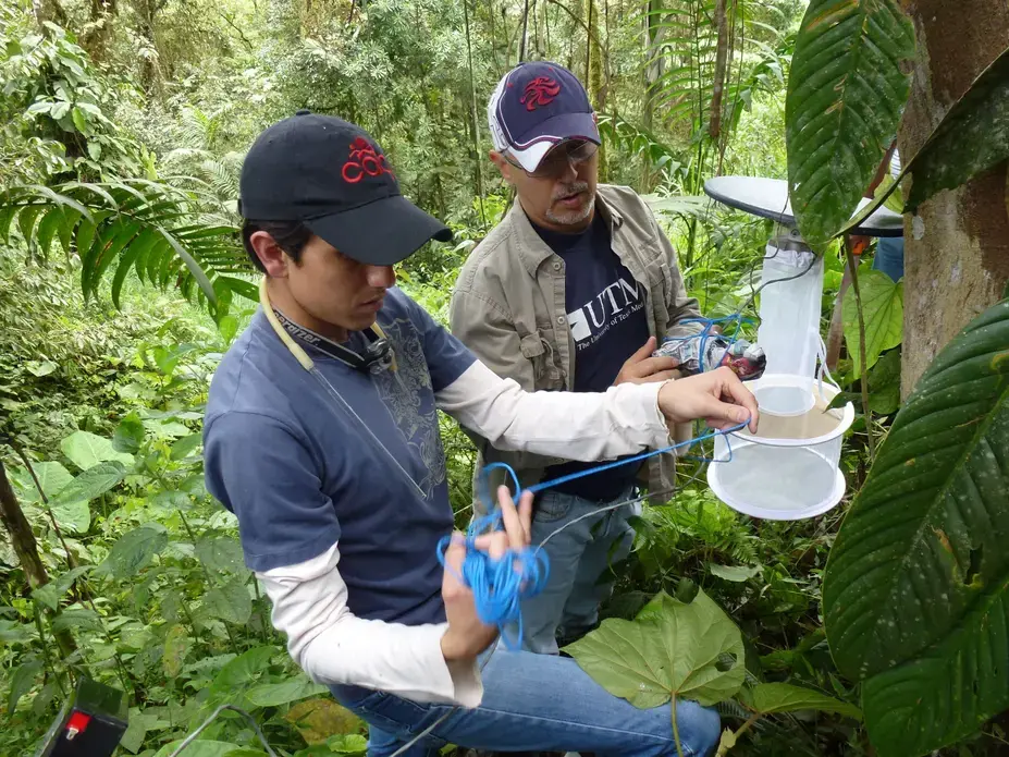 Juan Carlos setting up traps to collect mosquitoes and identify potential disease vectors in Ecuador, within the Amazon. Image courtesy of Juan Carlos Navarro. Ecuador, undated. Juan Carlos setting up traps to collect mosquitoes and identify potential disease vectors in Ecuador, within the Amazon. Image courtesy of Juan Carlos Navarro. Ecuador, undated.