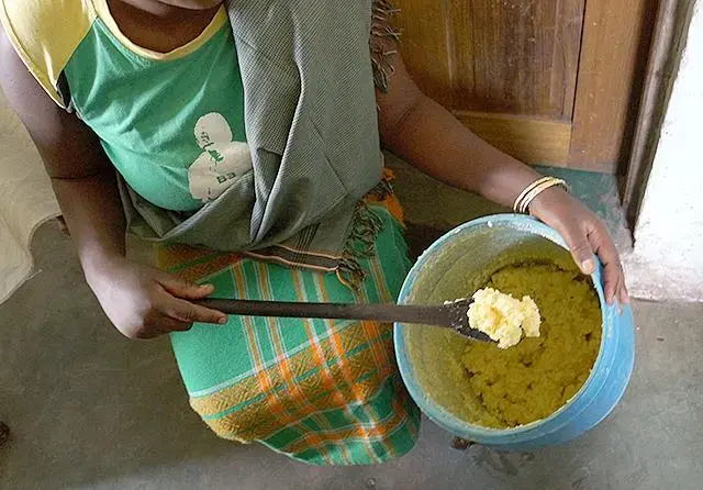 Women farmers are processing more of their milk. Image by Sharon Schmickle. Tanzania, 2013. Media file: farmerprocessingmilkintobutter640.jpg