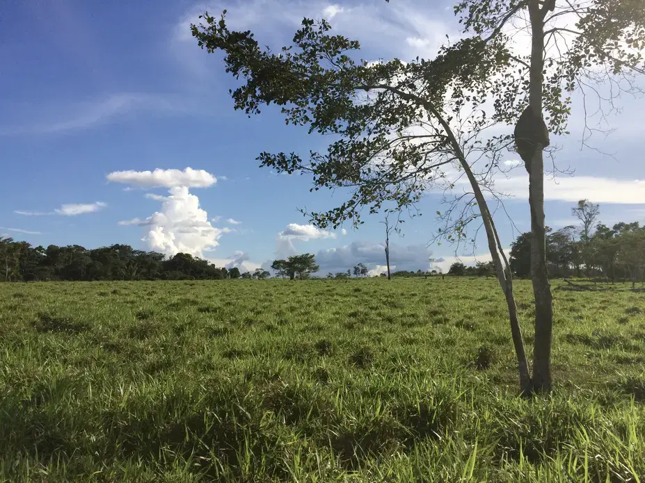 The Amazon region of Colombia, in El Retorno, Guaviare. Colombia's hot moment for conservation is up against the race to extract natural resources. Image by Lisa Palmer. Colombia, 2017. 