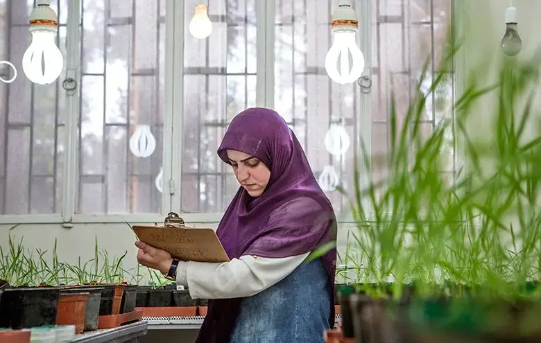 A technician records data on seeds germinated in a lab at ICARDA's facility in Lebanon. Image by Jacob Russell. Lebanon, 2016. A technician records data on seeds germinated in a lab at ICARDA's facility in Lebanon. Image by Jacob Russell. Lebanon, 2016.