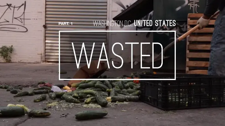 Still from opening credit of Karim Chrobog's short film "Wasted" Image by Karim Chrobog. United States, 2015. Media file: screen_shot_2015-05-18_at_11.57.55_am.jpg