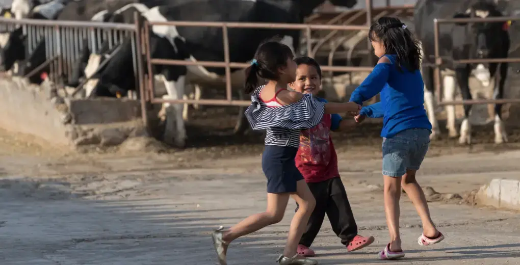 Mexico’s borders are open to free trade, which has meant a flood of imports, primarily from the United States. Mexican farmers say the imports drive down the prices they receive for their milk. Image by Mark Hoffman. Mexico, 2019.