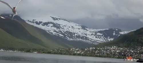 Image from Threshold Podcast. Norway, 2018.