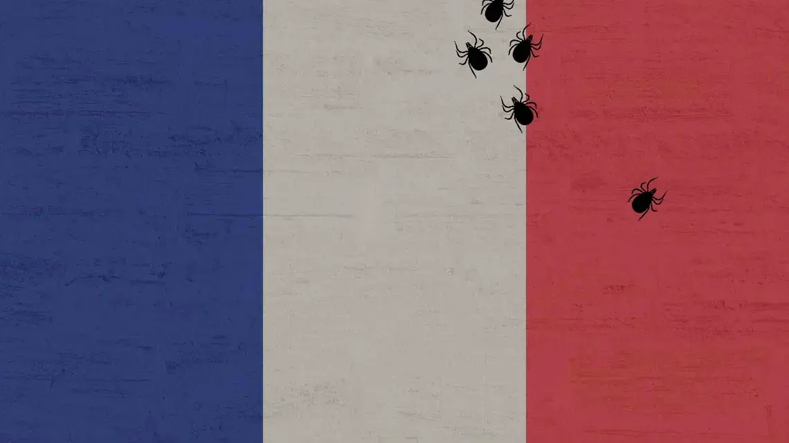France sees fewer Lyme cases per year than Massachusetts despite a population ten times the size. Thanks, in part, to a highly active advocacy community, the French government has released one of the most detailed national plans to address the disease. But for advocates, it's still not enough. Image courtesy of Pixabay / Undark. France sees fewer Lyme cases per year than Massachusetts despite a population ten times the size. Thanks, in part, to a highly active advocacy community, the French government has released one of the most detailed national plans to address the disease. But for advocates, it's still not enough. Image courtesy of Pixabay / Undark.