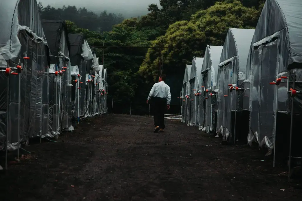 Toru Hoshikawa shows the green houses in which mushrooms are grown. Image by Audrey Henson. Japan, 2019.