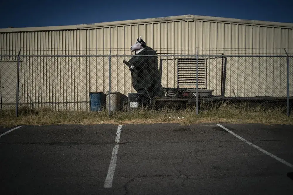 A bull dressed in a tuxedo is stored at the back of a parking lot in Las Vegas, Monday, Nov. 9, 2020. Image by Wong Maye-E / AP Photo. United States, 2020.
