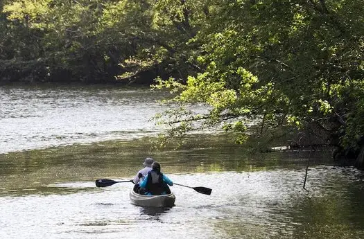 Paddlers make their way along the Waccamaw River picking up trash near Conway, S.C. Image by Jason Lee / The Sun News. United States, undated.